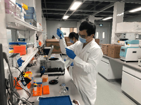工作中的他们.gif